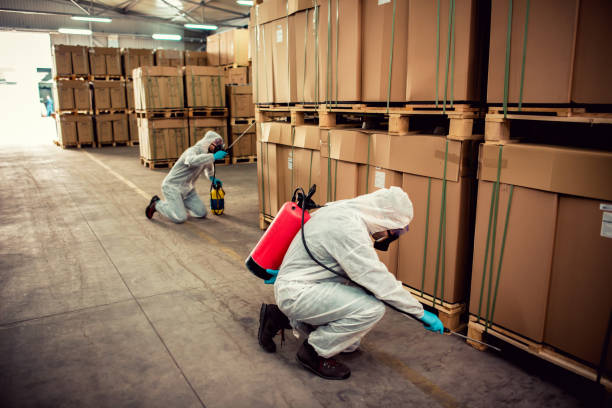 Best Best Pest Control Companies  in Southport, IN