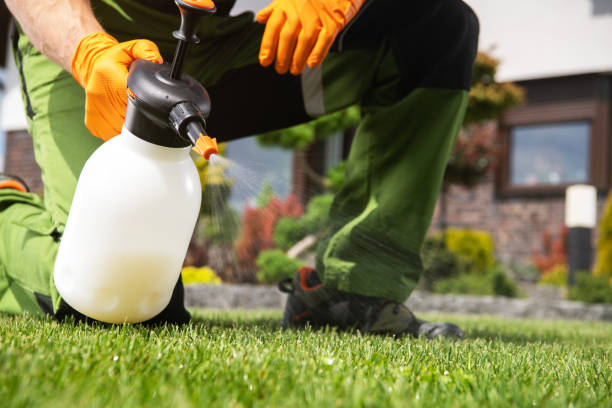 Best Local Pest Control Services  in Southport, IN