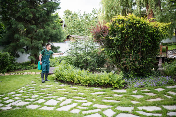 Best Wasp Removal Services  in Southport, IN
