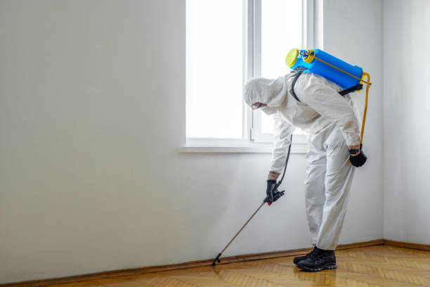 Professional Pest Control in Southport, IN