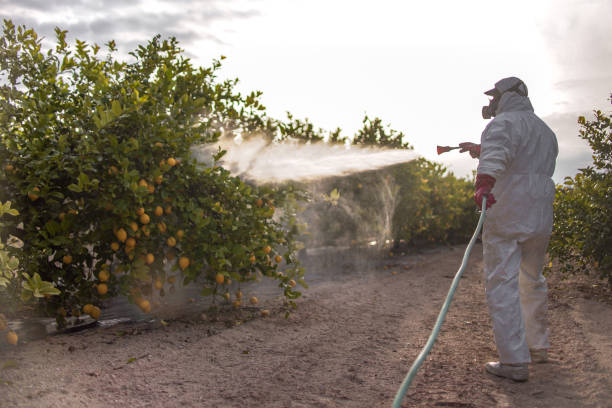 Best Exterminator Services  in Southport, IN