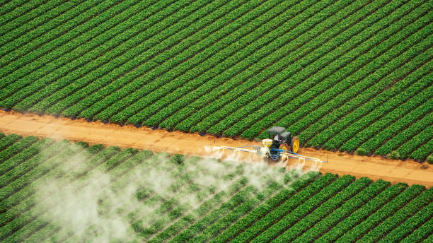 Best Termite Control Services  in Southport, IN