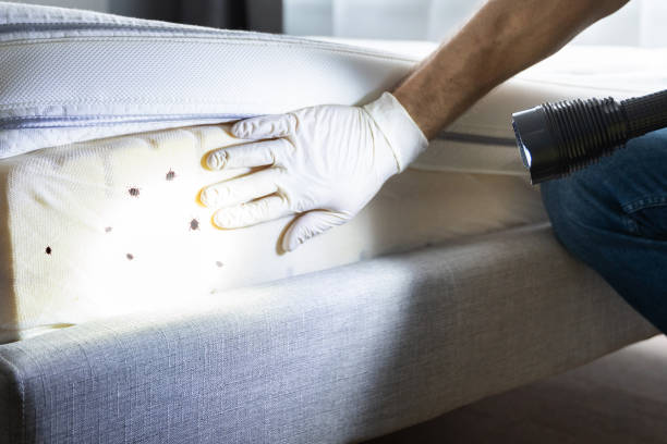 Best Cockroach Control Services  in Southport, IN